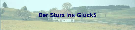 Der Sturz ins Glck3